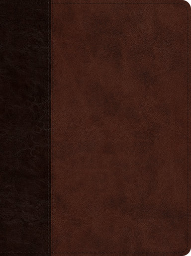 Image of ESV Proverbs: Daily Wisdom (TruTone, Brown/Walnut, Timeless other