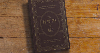 Image of The Promises of God other