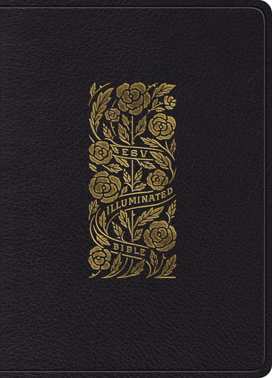 Image of ESV Illuminated Bible, Art Journaling Edition other