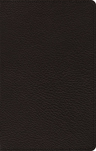 Image of ESV Premium Thinline Bible (Goatskin, Black) other