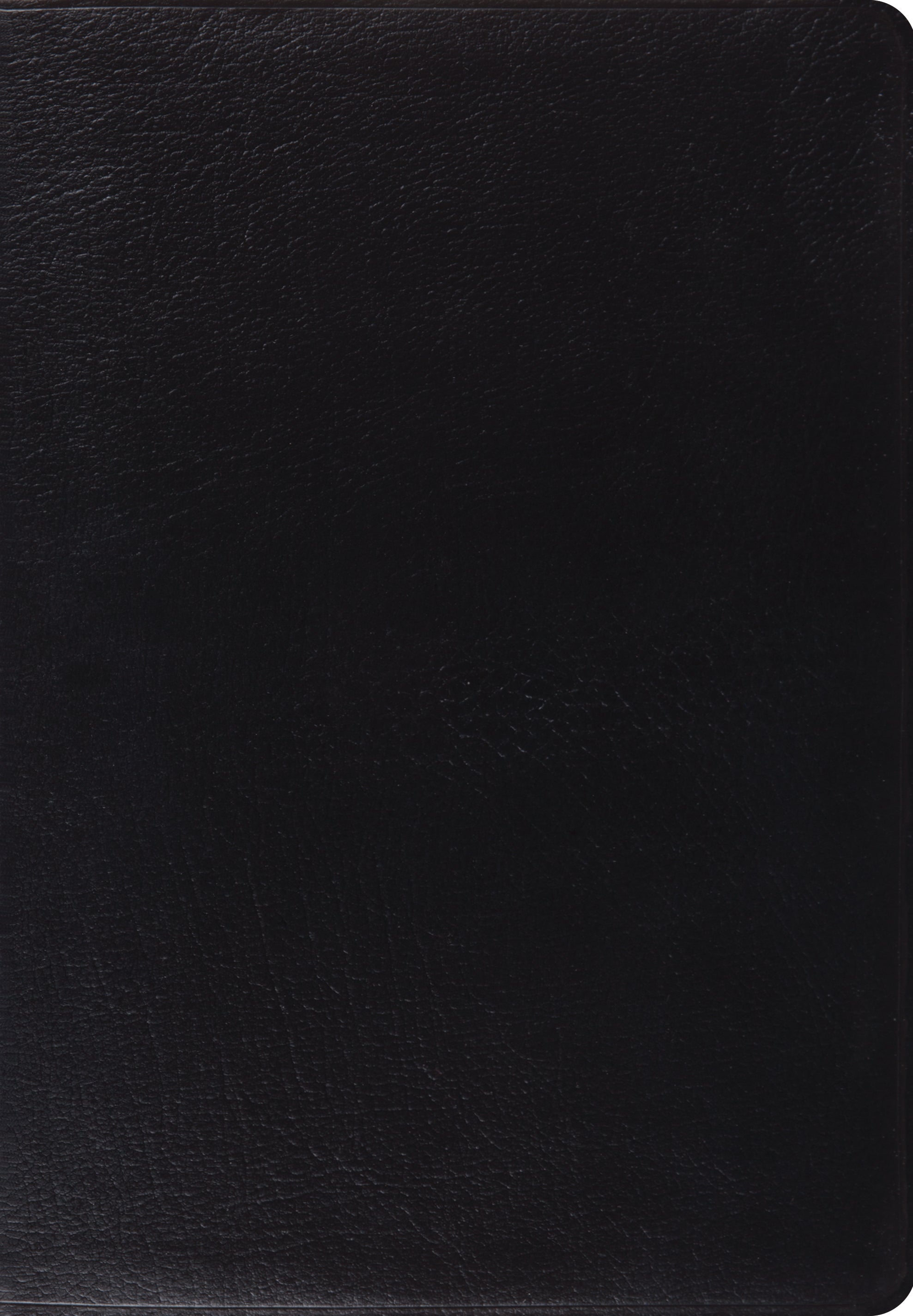 Image of ESV Giant Print Bible (Black) other