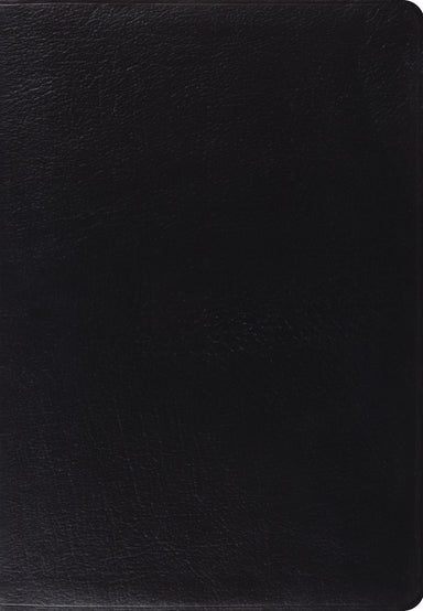 Image of ESV Giant Print Bible (Black) other
