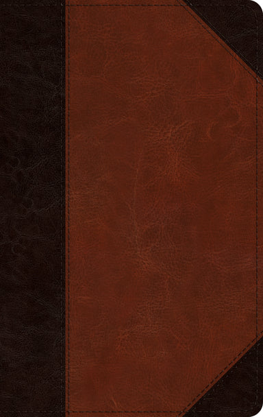 Image of ESV Single Column Thinline Bible (TruTone, Brown/Cordovan, Portfolio Design) other