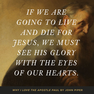 Image of Why I Love the Apostle Paul other