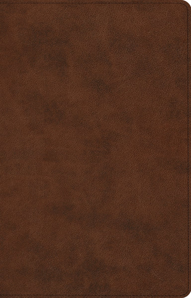 Image of ESV Large Print Thinline Reference Bible (TruTone, Brown) other