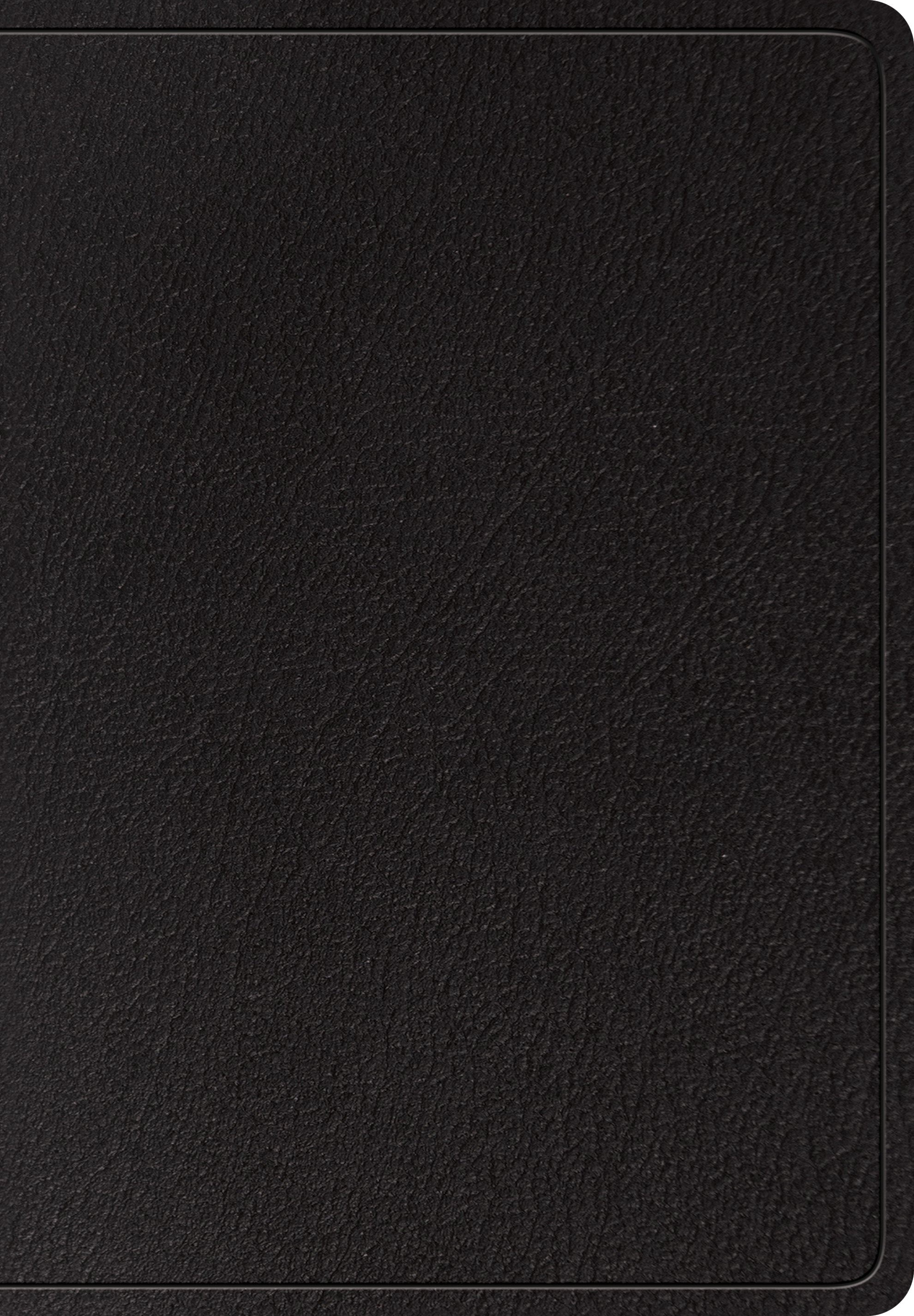 Image of ESV Super Giant Print Bible (Black) other