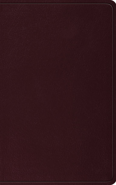 Image of ESV Thinline Bible (Burgundy) other