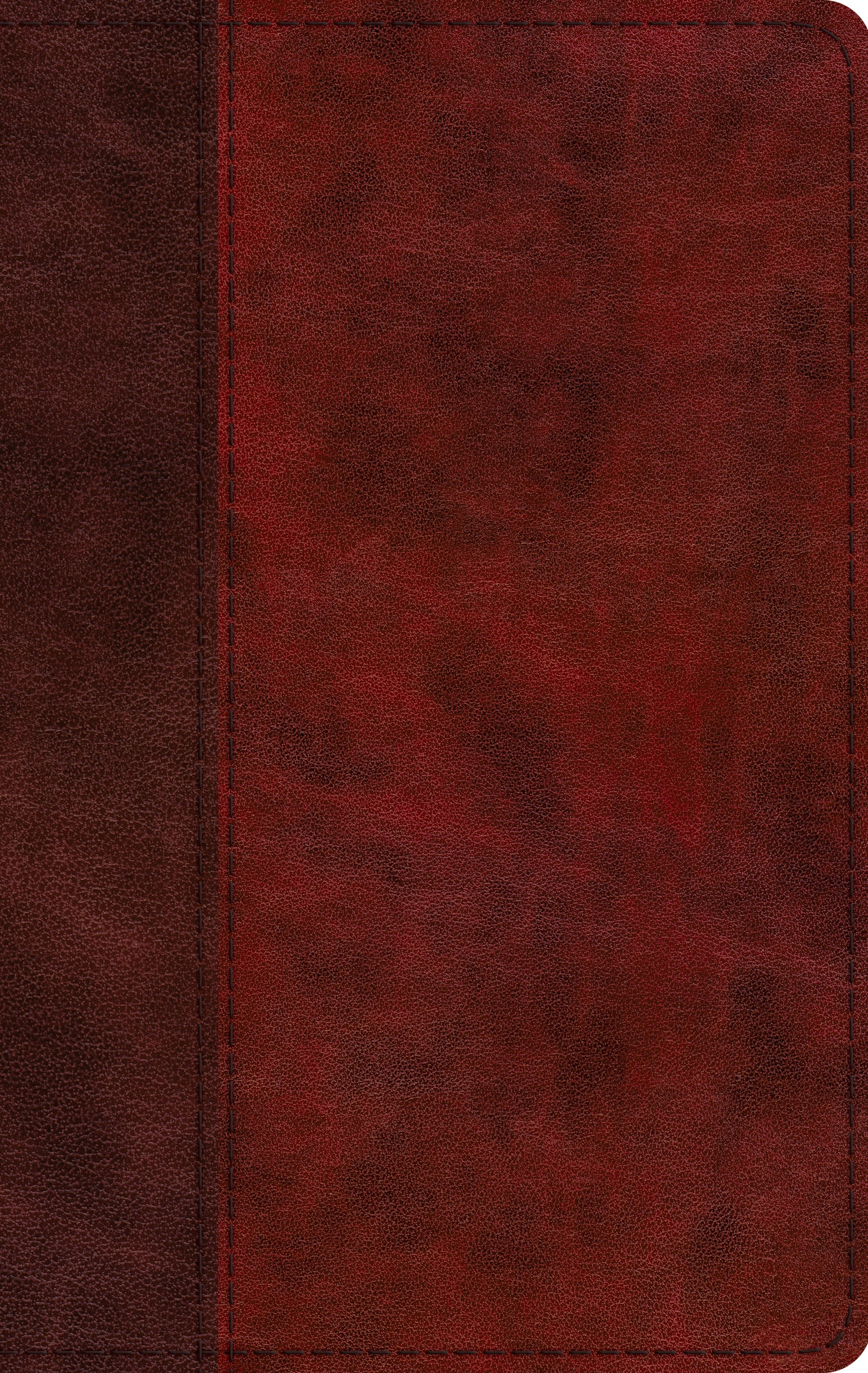 Image of ESV Large Print Thinline Bible (TruTone, Burgundy/Red, Timeless Design) other