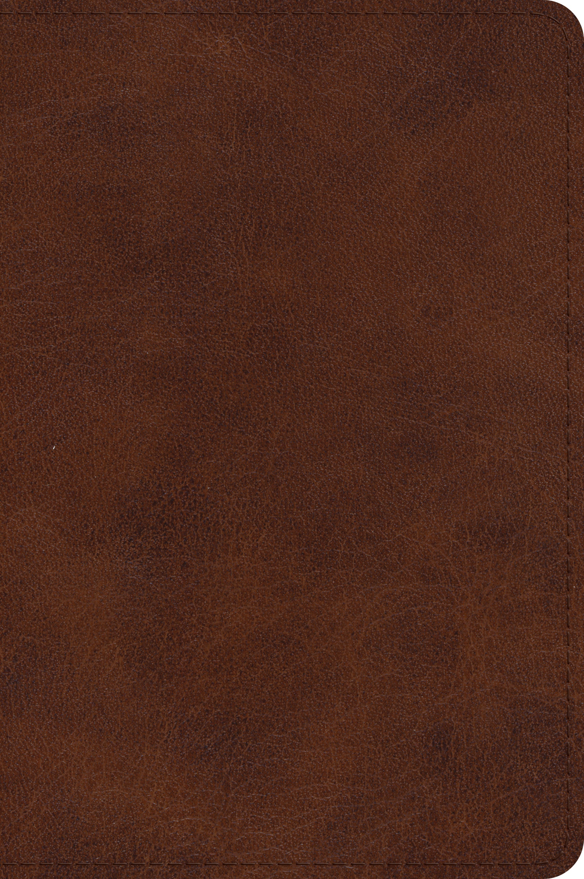 Image of ESV Large Print Bible (TruTone, Deep Brown) other