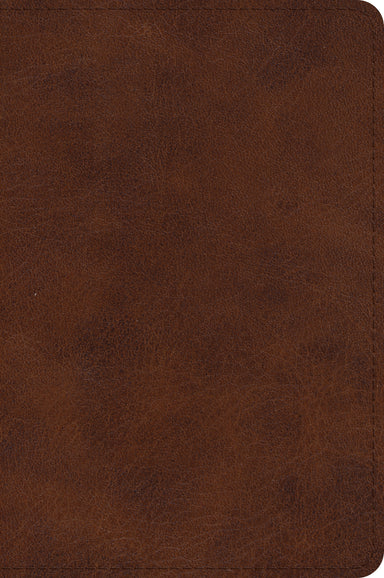 Image of ESV Large Print Bible (TruTone, Deep Brown) other