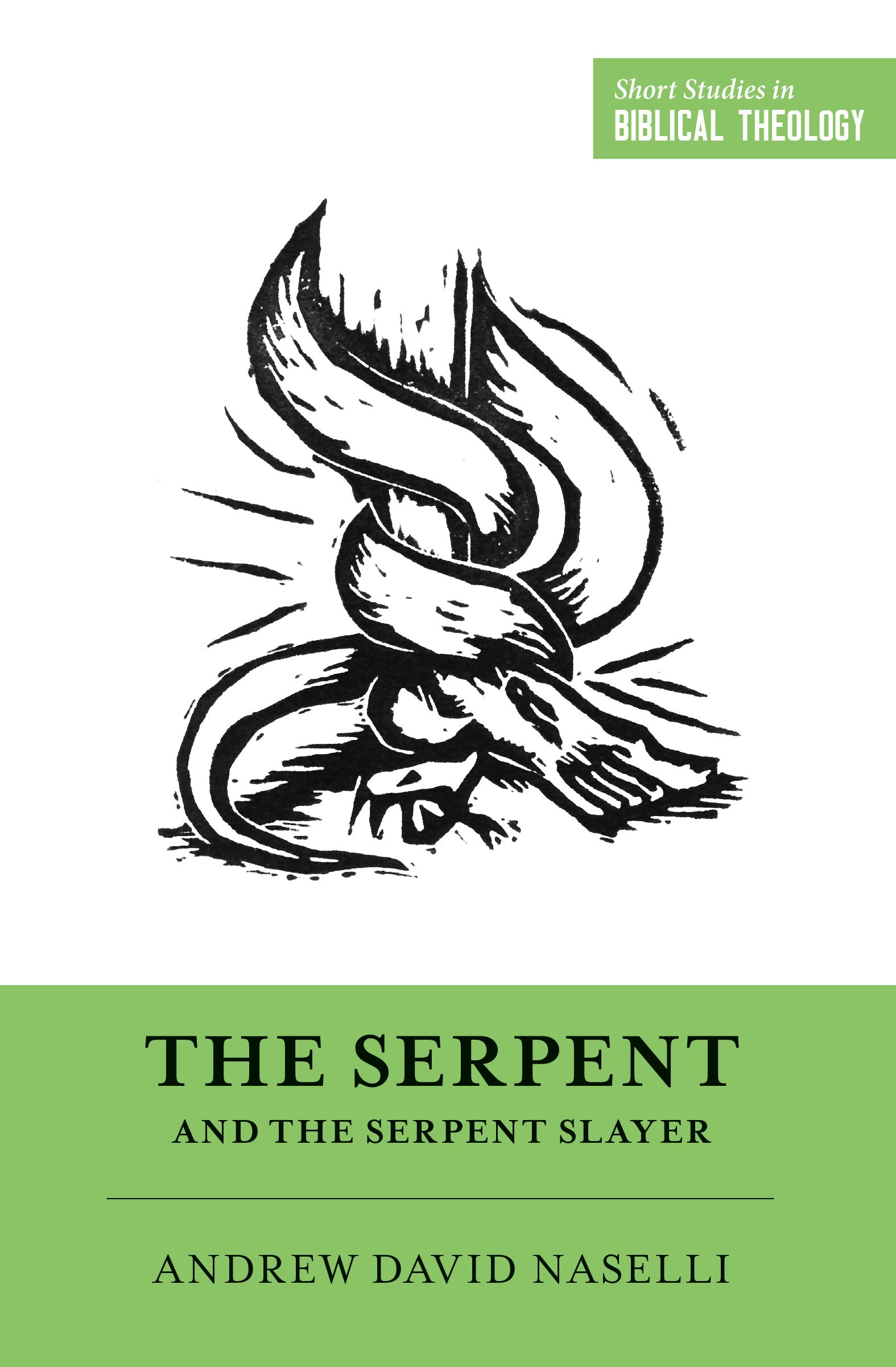 Image of The Serpent and the Serpent Slayer other