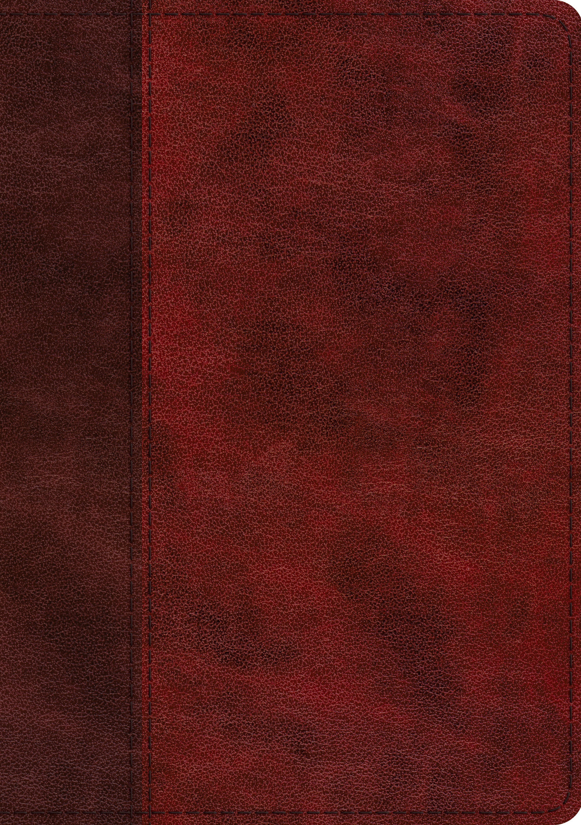 Image of ESV Single Column Journaling Bible, Large Print (TruTone, Burgundy/Red, Timeless Design) other