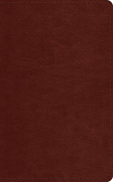 Image of ESV Pocket Bible other
