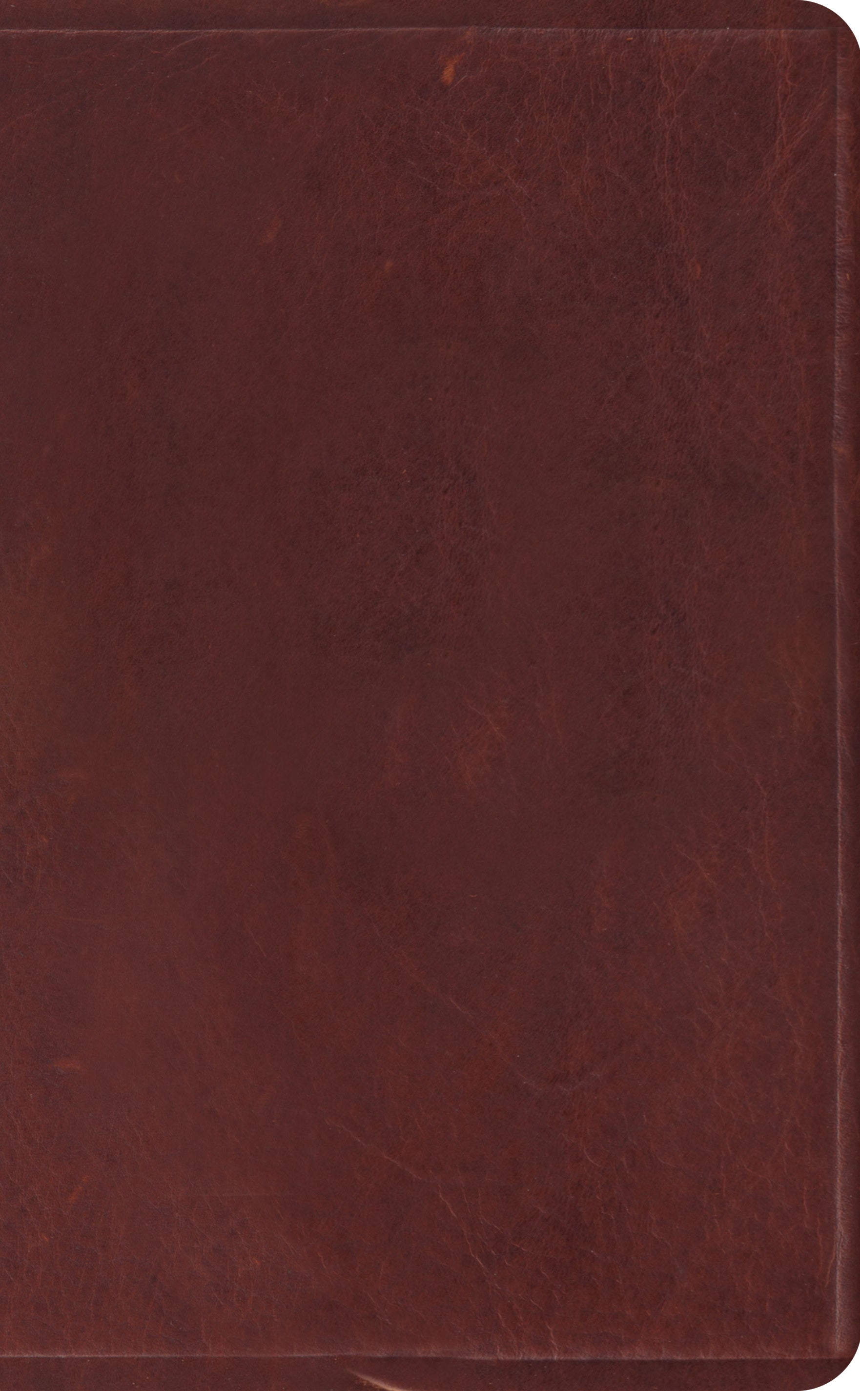 Image of ESV Pocket Bible other