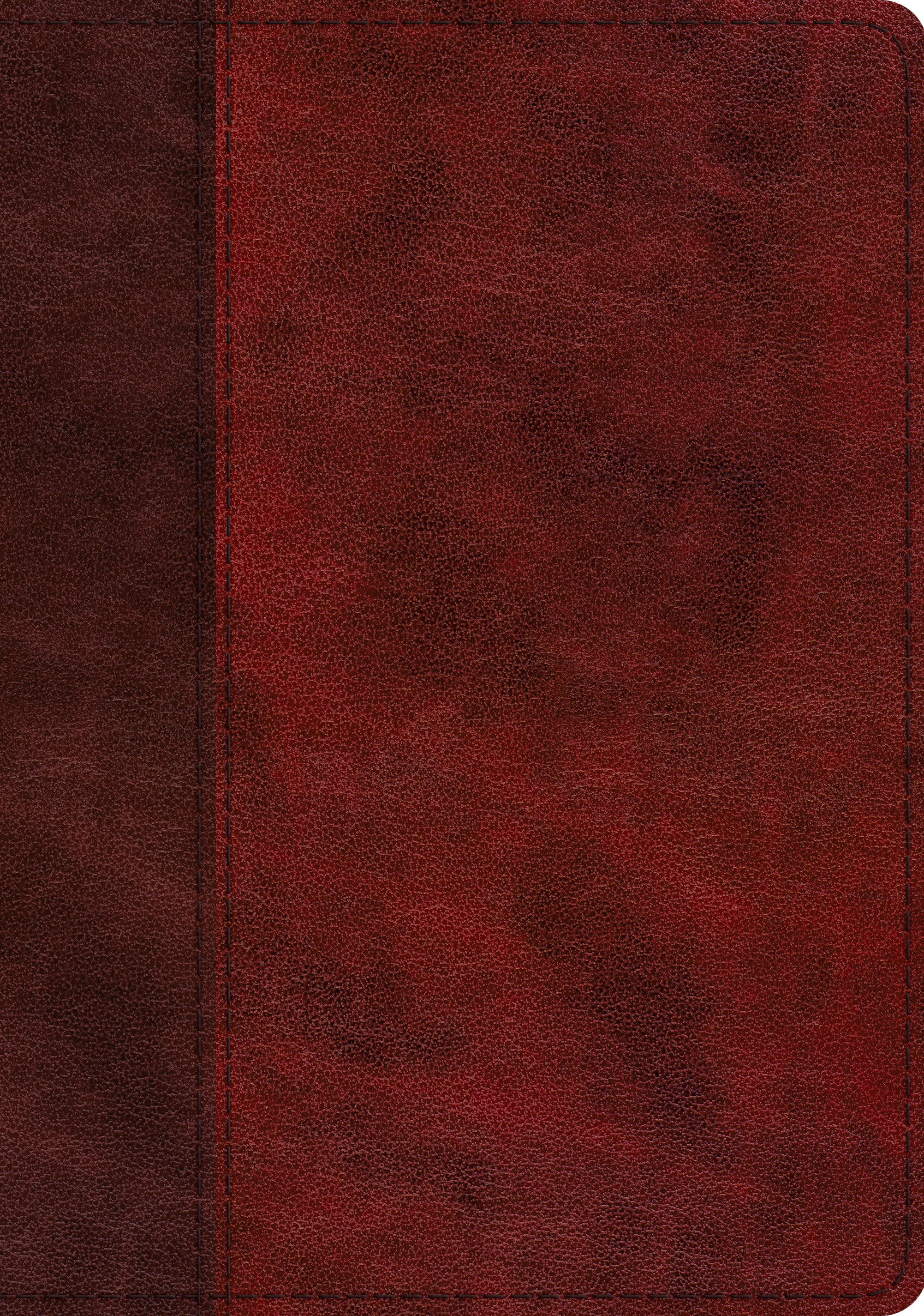 Image of ESV Study Bible (TruTone, Burgundy/Red, Timeless Design, Indexed) other