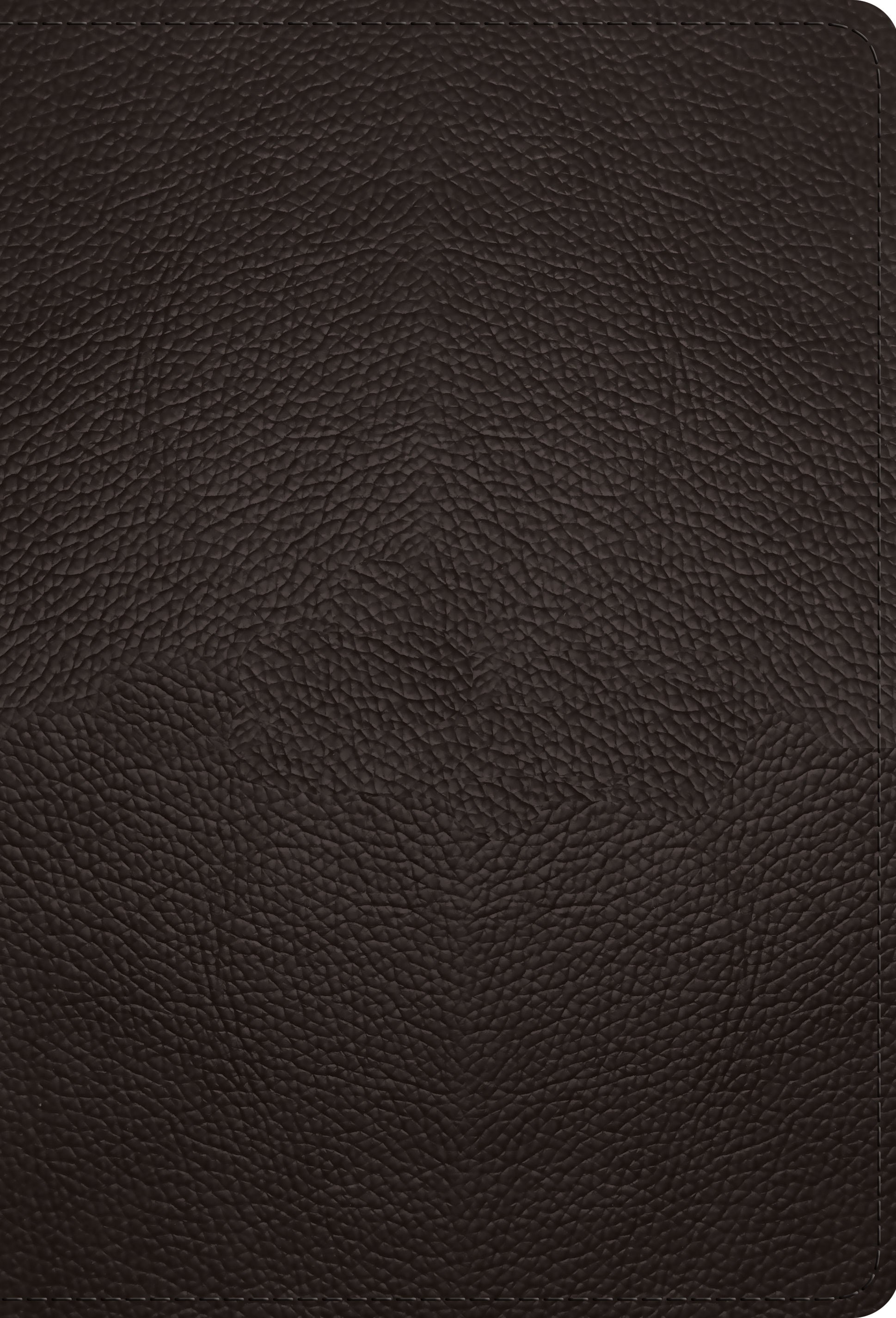 Image of ESV Large Print Compact Bible (Buffalo Leather, Deep Brown) other