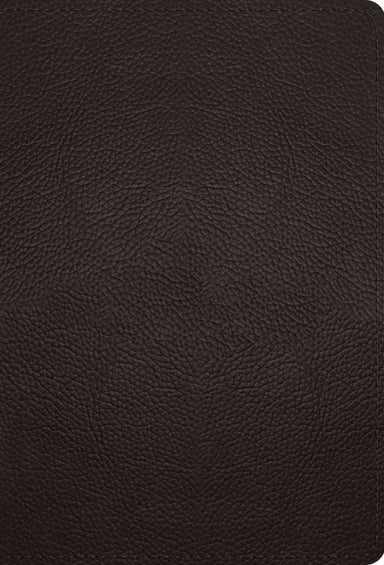 Image of ESV Large Print Compact Bible (Buffalo Leather, Deep Brown) other