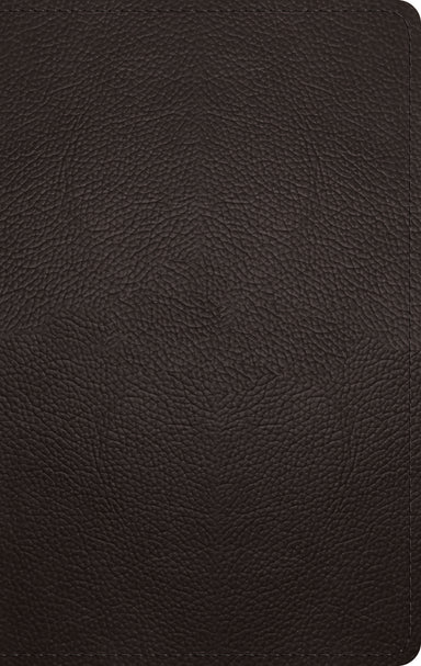 Image of ESV Large Print Personal Size Bible (Buffalo Leather, Deep Brown) other