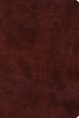 Image of ESV Bible with Creeds and Confessions (TruTone, Burgundy) other