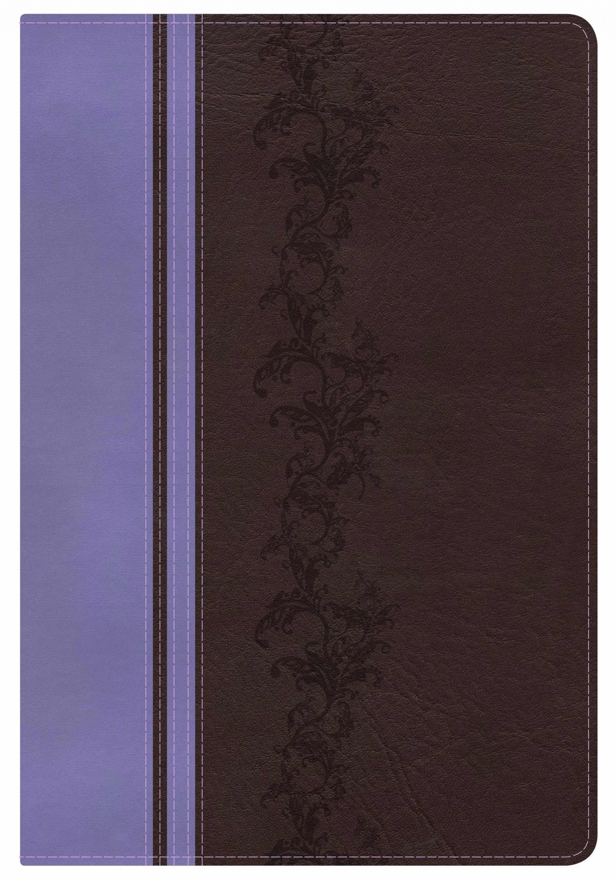 Image of KJV Rainbow Study Bible, Brown/Lavender, Indexed other