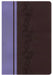 Image of KJV Rainbow Study Bible, Brown/Lavender, Indexed other