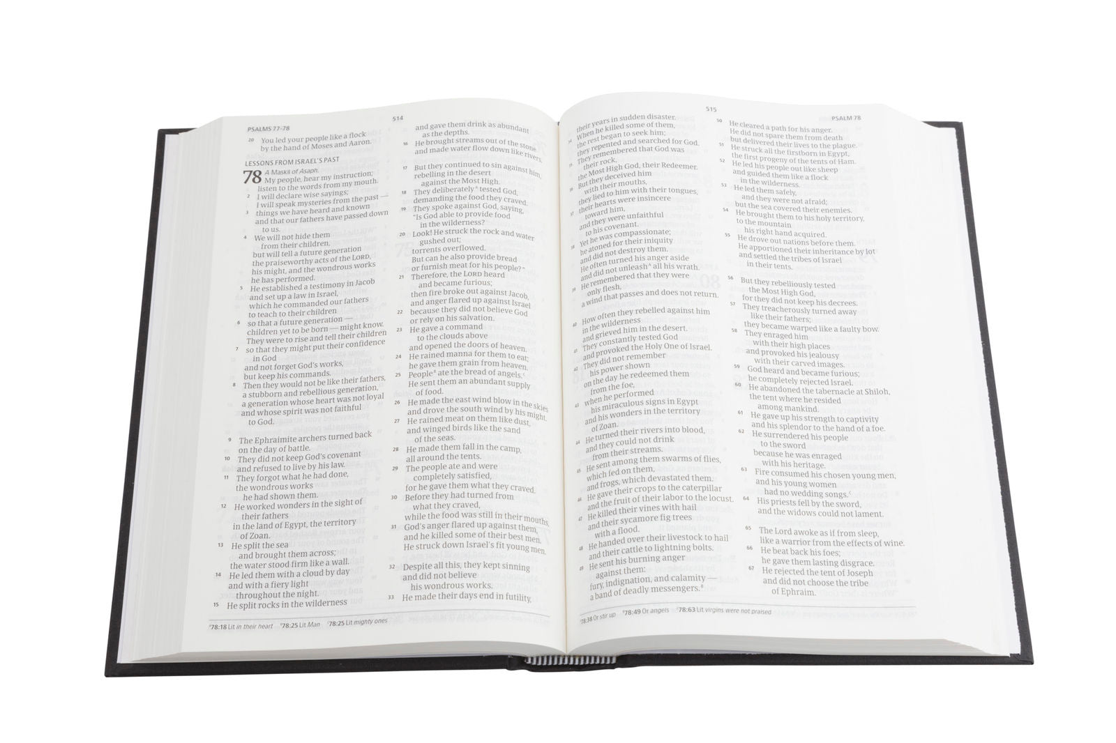 Image of CSB Pew Bible, Black other