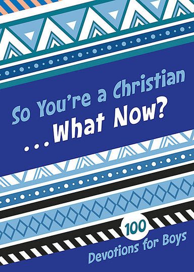 Image of So You're a Christian....What Now? other