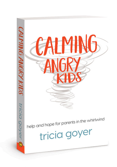 Image of Calming Angry Kids other