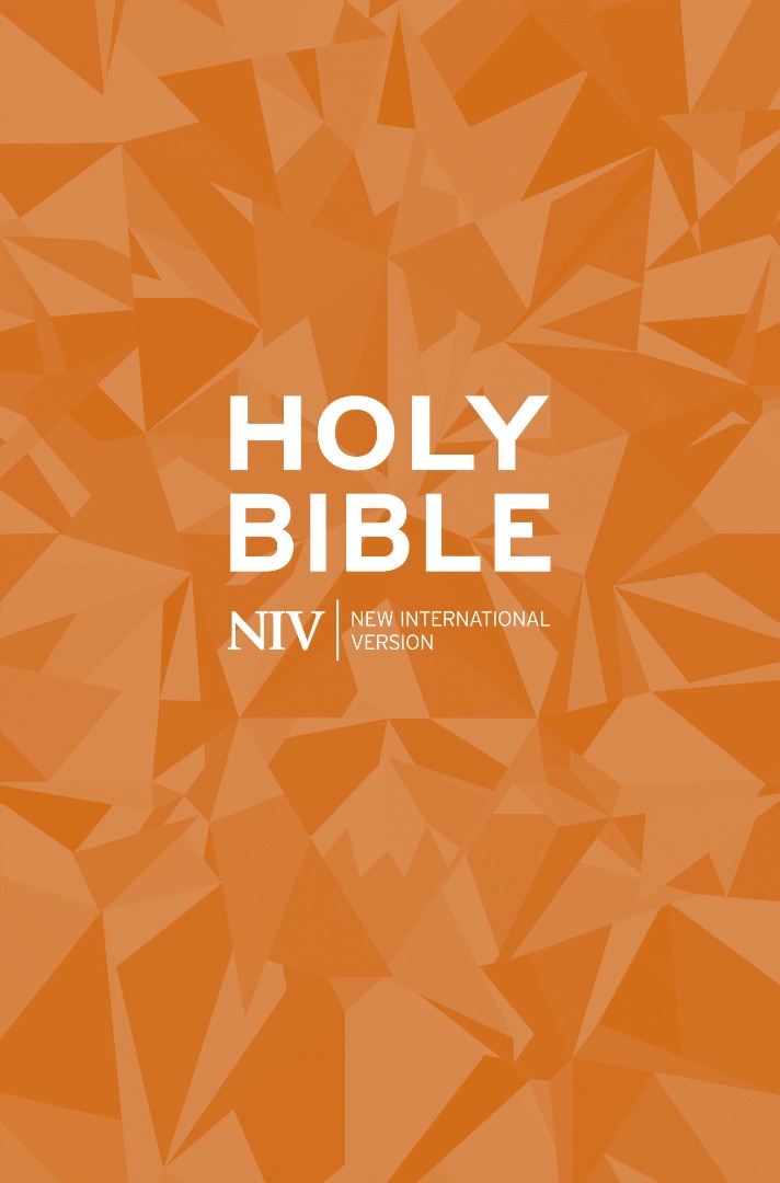 Image of NIV Popular Bible: Orange, Paperback other