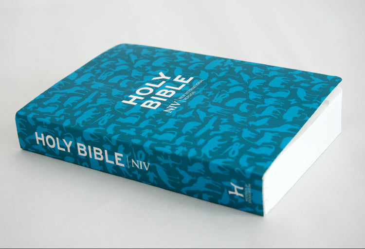 Image of NIV Pocket Bible Anglicised Paperback other