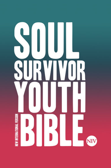 Image of NIV Soul Survivor Youth Bible Hardback - Pack of 10 other