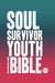 Image of NIV Soul Survivor Youth Bible Hardback - Pack of 10 other