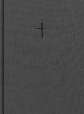 Image of CSB Apologetics Study Bible, Charcoal Cloth Over Board, Inde other