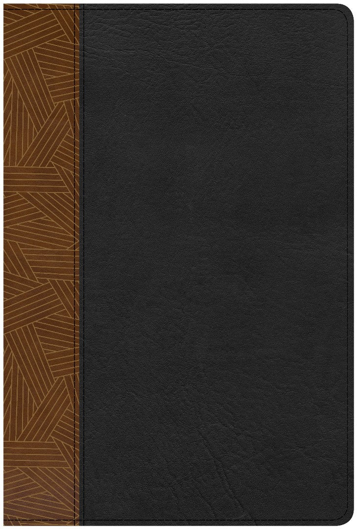 Image of CSB Rainbow Study Bible, Black/Tan LeatherTouch other