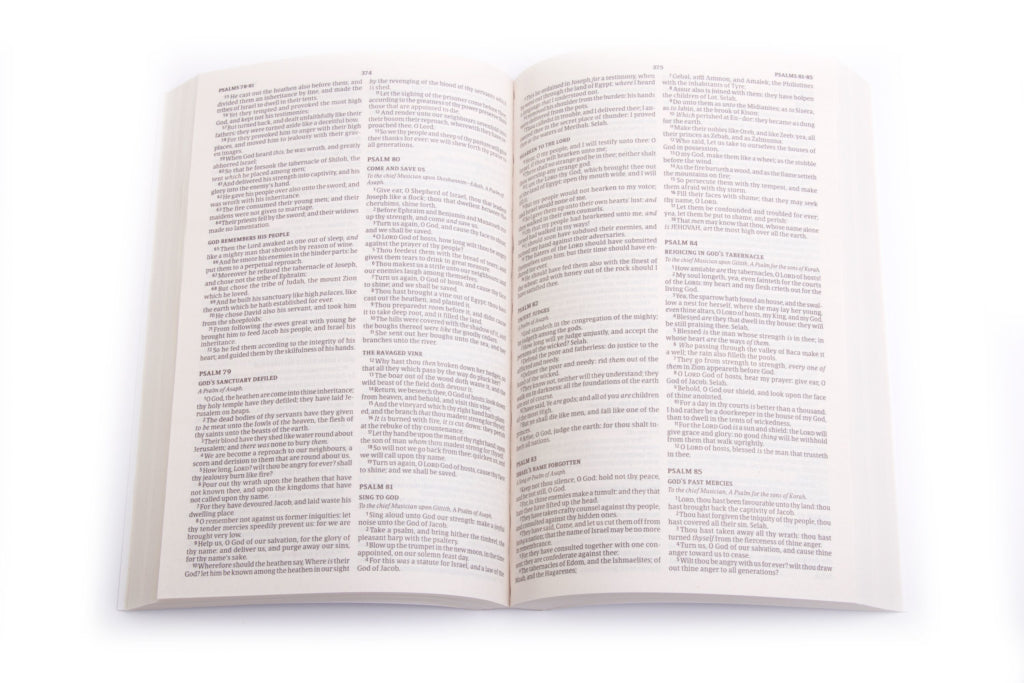 Image of KJV Outreach Bible, Frequently Asked Questions, Topical Subheadings, Double Column other