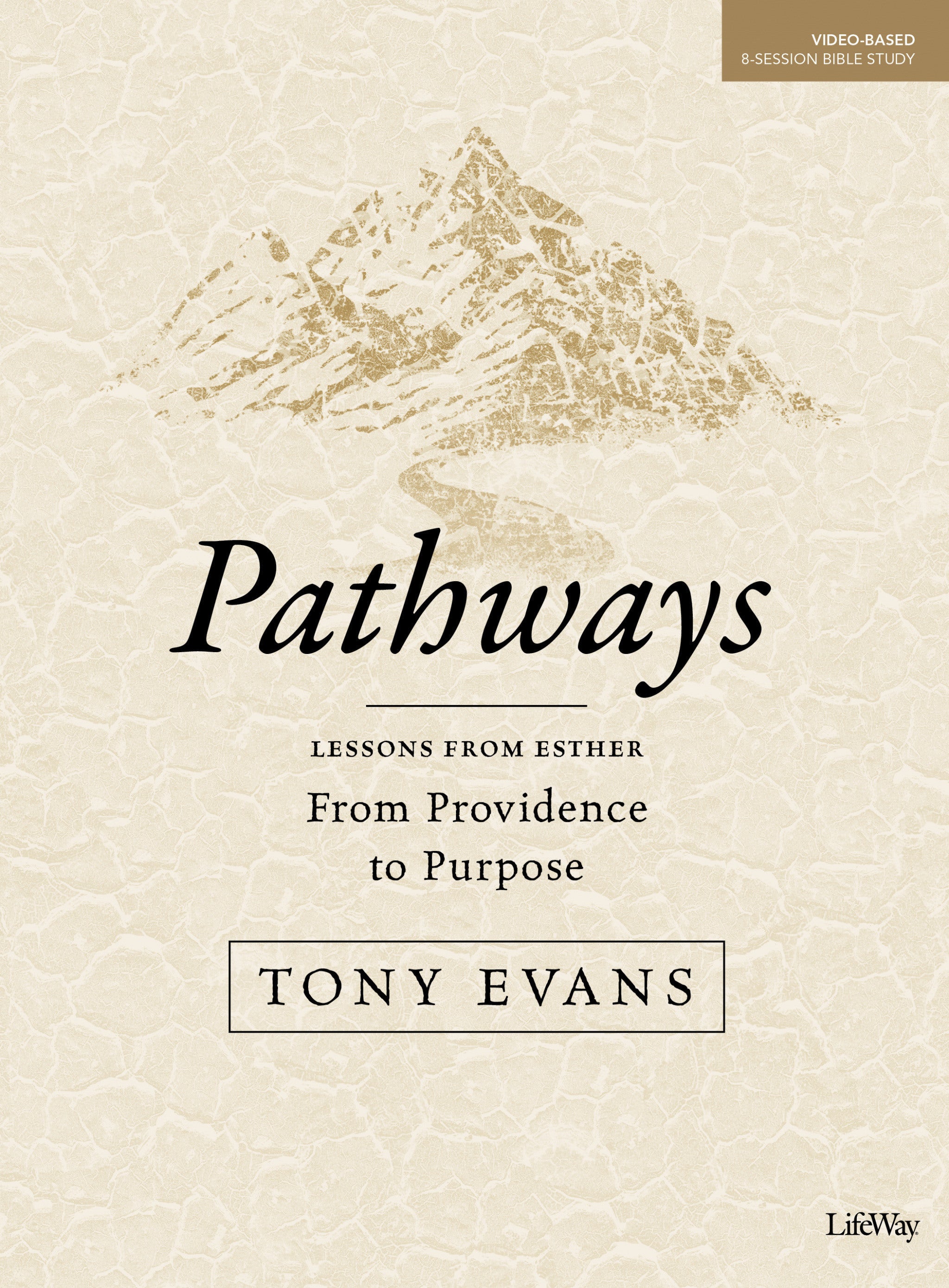Image of Pathways - Bible Study Book: From Providence to Purpose other