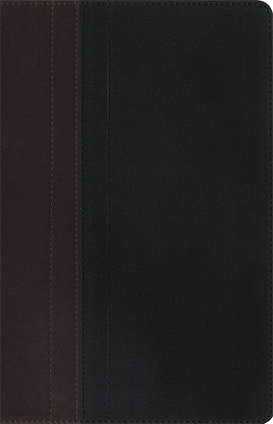 Image of NIV Zondervan Study Bible, Brown, Imitation Leather, Cross Reference, Concordance, Scripture References, Literary Introductions, Study Tools, Presentation Page other