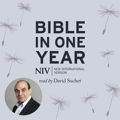 Image of NIV Audio Bible in One Year, Grey, MP3 CD, Read by David Suchet, Digital Content other