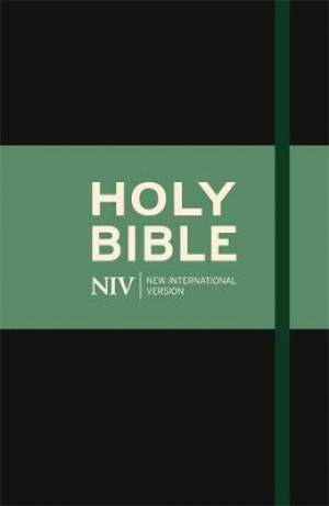 Image of NIV Thinline Bible other