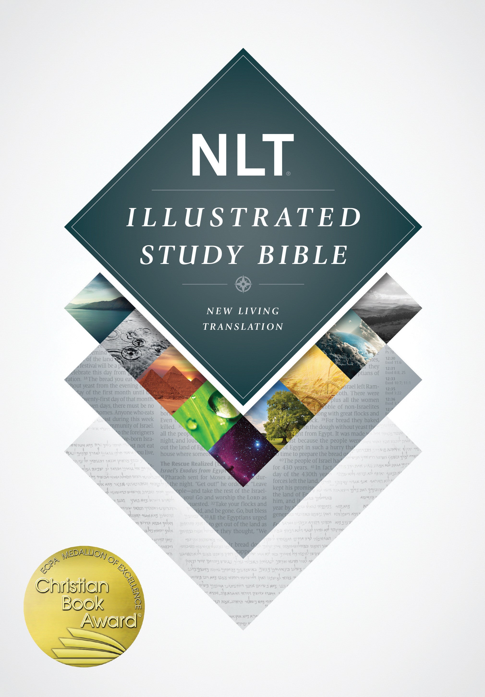 Image of NLT Illustrated Study Bible other