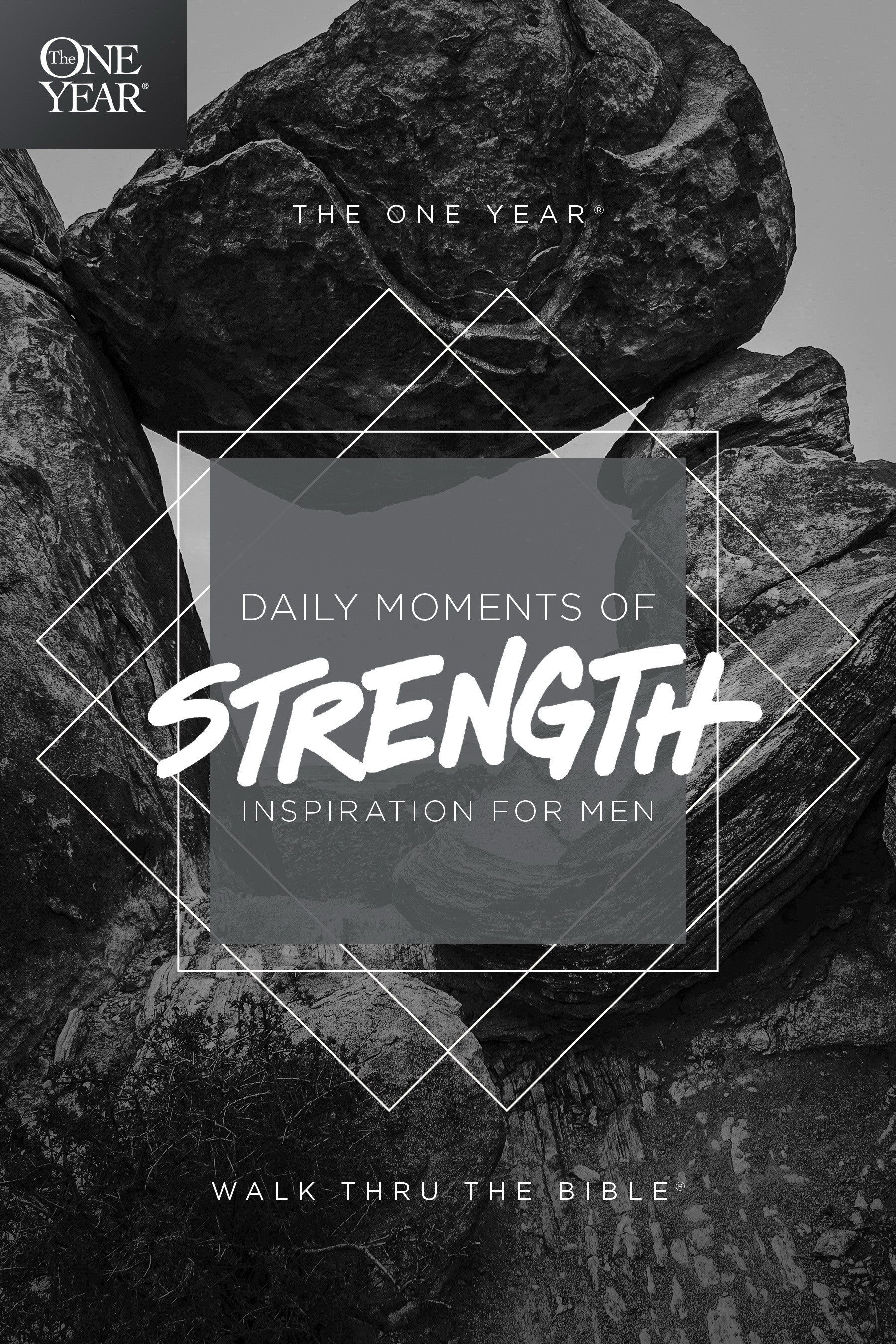 Image of The One Year Daily Moments of Strength other