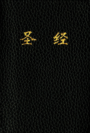Image of Holy Bible, Chinese Text Edition CUV other