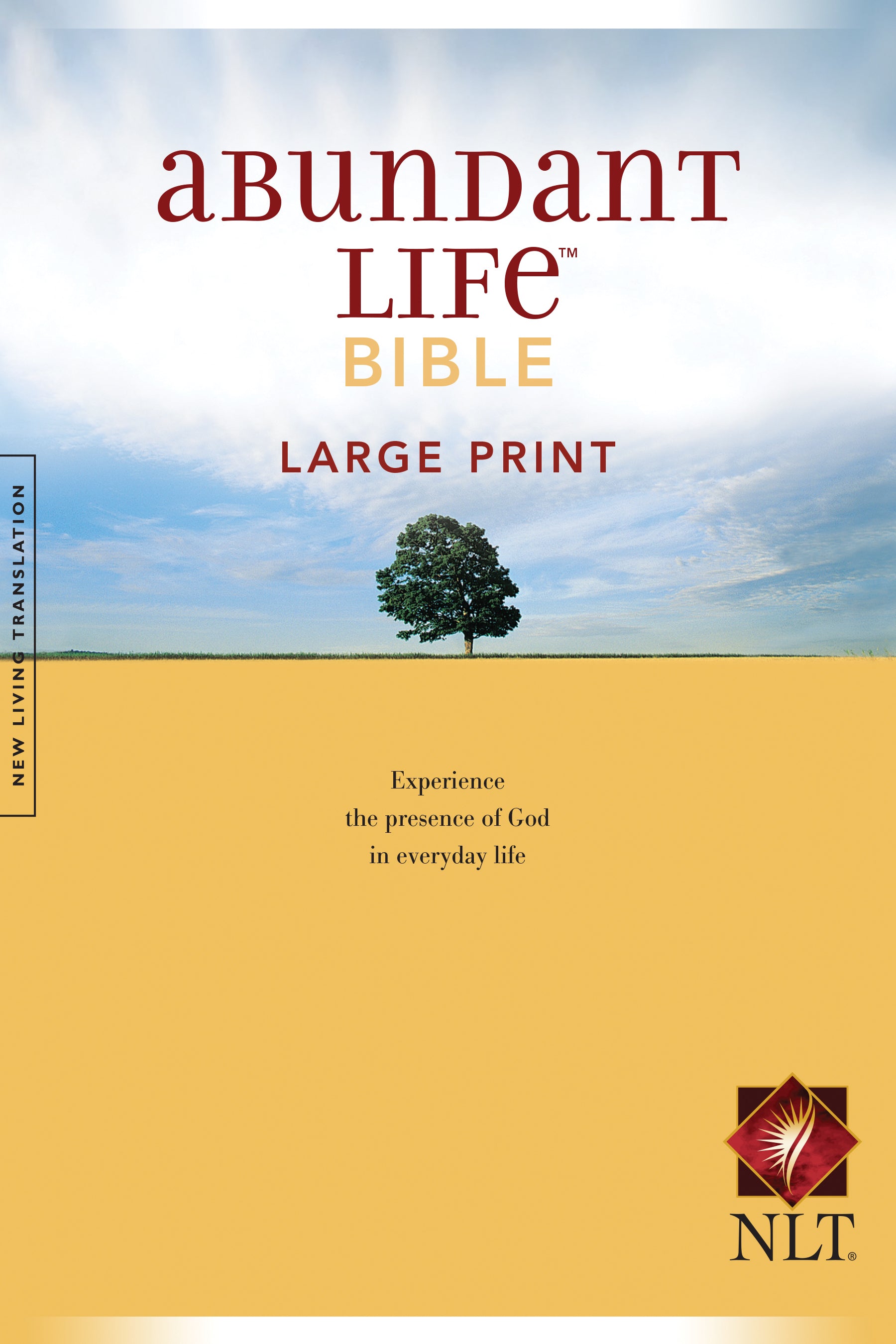 Image of NLT Abundant Life Bible, Large Print other