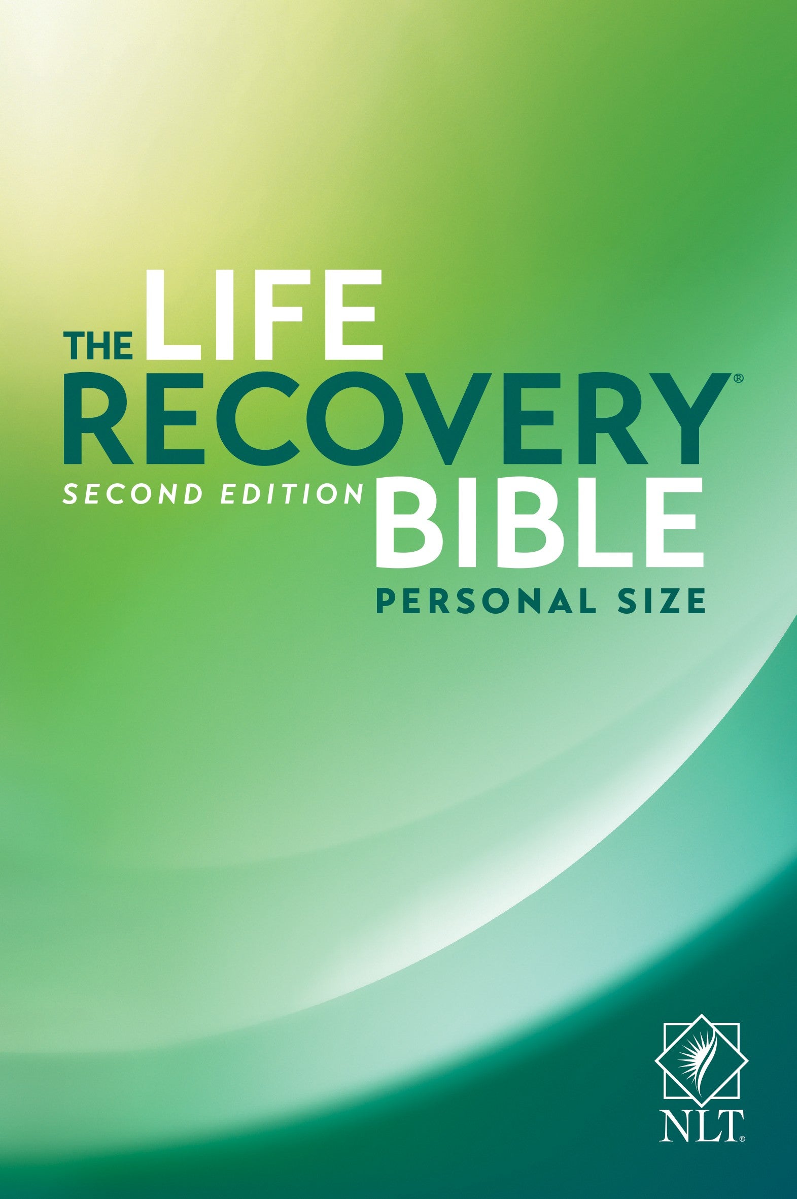 Image of NLT Life Recovery Bible Personal Size other