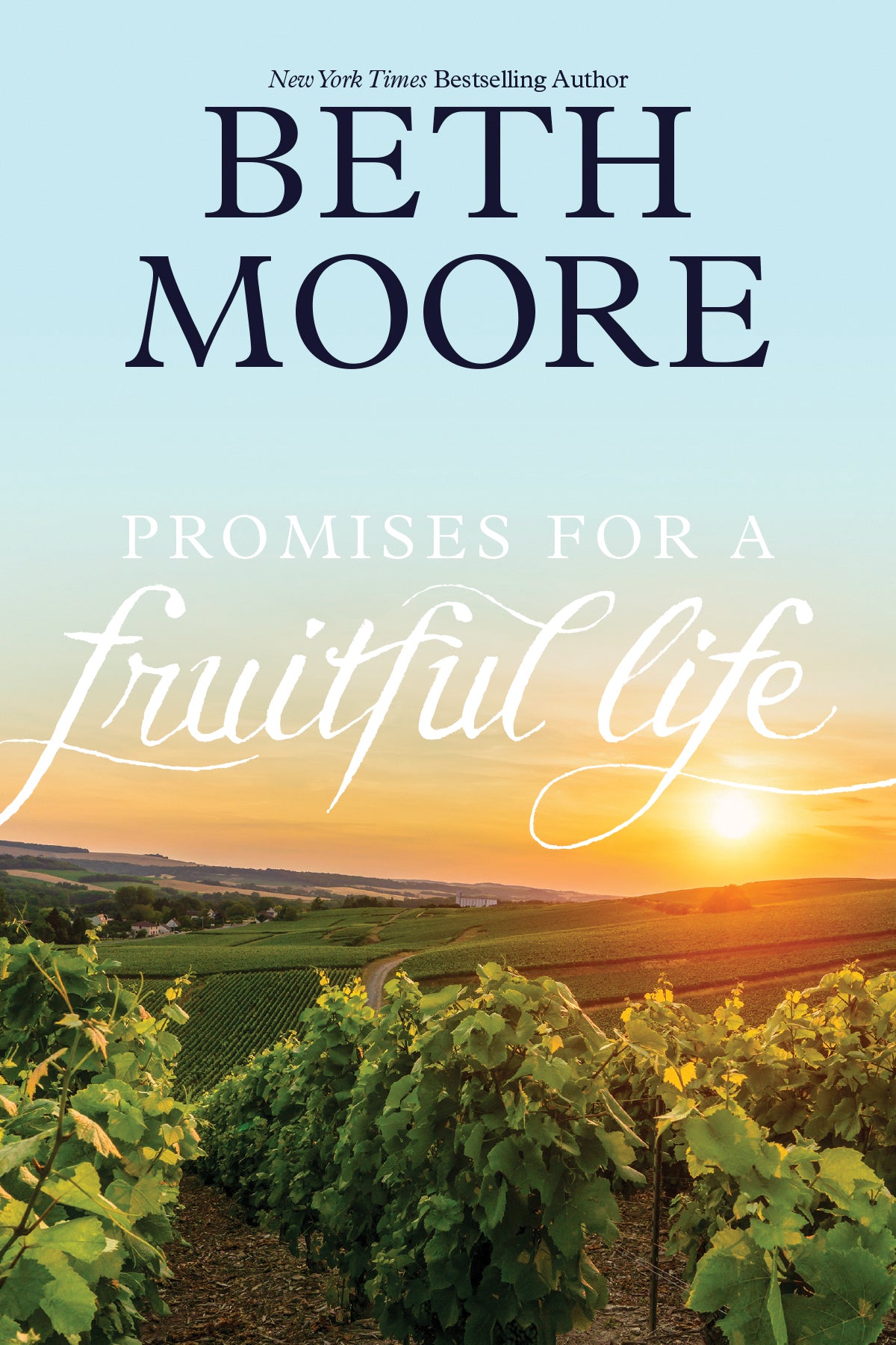 Image of Promises for a Fruitful Life other
