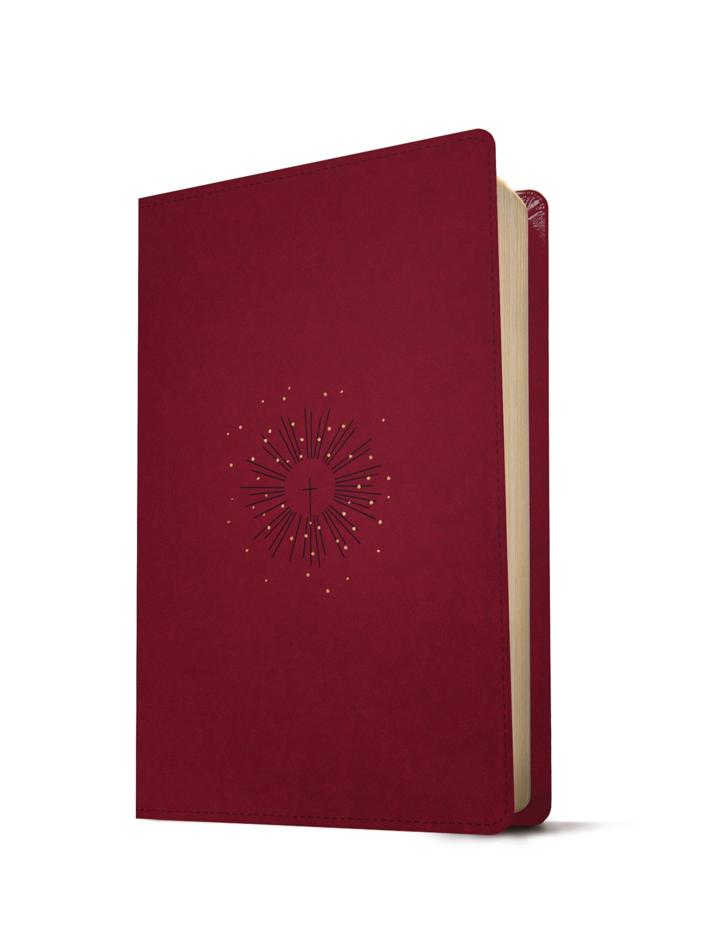 Image of NLT Thinline Reference Bible, Filament Enabled Edition (Red Letter, LeatherLike, Aurora Cranberry) other