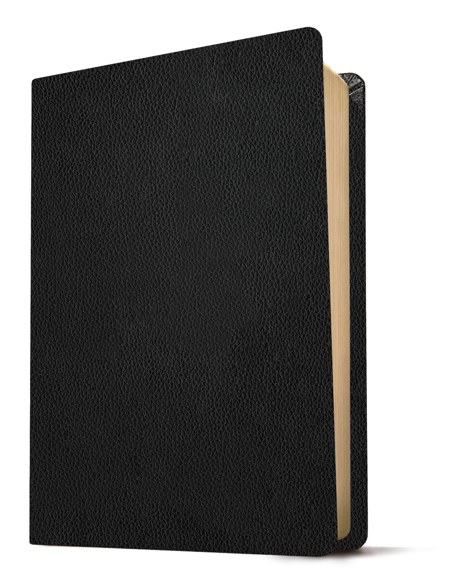 Image of NLT Personal Size Giant Print Bible, Black, Genuine Leather, Filament Enabled Edition other