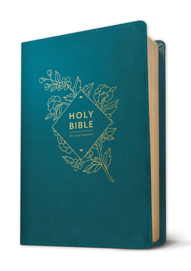 Image of Holy Bible, Giant Print NLT other