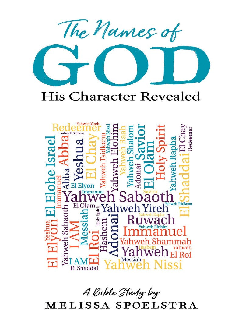 Image of The Names of God Participant Workbook other