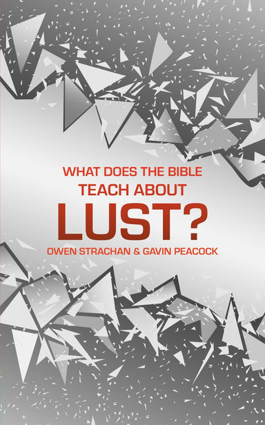 Image of What Does the Bible Teach about Lust? other